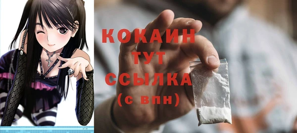 ПСИЛОЦИБИНОВЫЕ ГРИБЫ Абаза