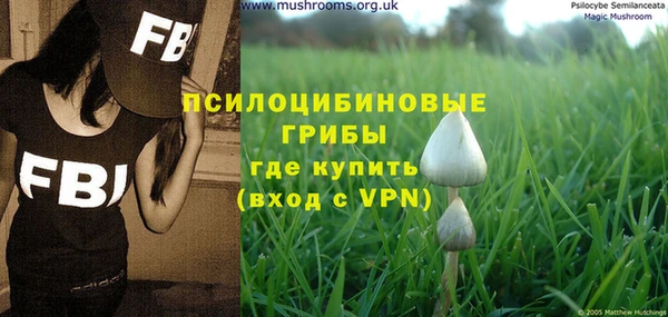 ПСИЛОЦИБИНОВЫЕ ГРИБЫ Абаза